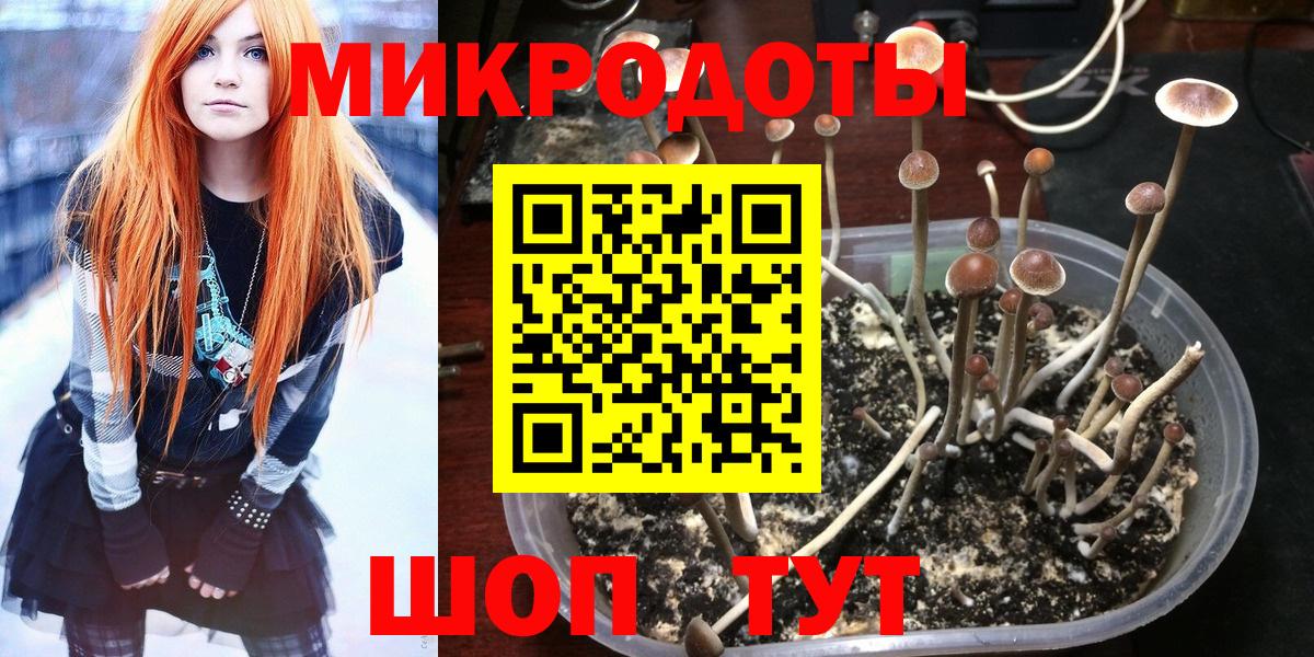 Псилоцибиновые грибы прущие грибы  Галлюциногенные грибы Cubensis  Можайск  Вход с VPN 